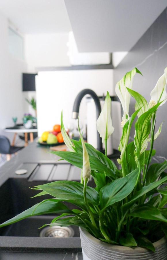 Cosmo Apartment ドゥブロブニク エクステリア 写真